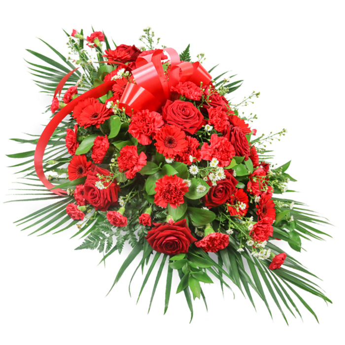 A grand red sympathy spray is displayed on a white background, its elongated, one-sided design fanning out gracefully as though it has been carefully laid along the length of a casket or memorial stand. The central section is densely packed with deep red roses, their petals plush and velvety, some blooms fully open in wide spirals while others are half unfurled, adding a sense of gentle movement and life. Among these, clusters of red carnations introduce a soft, cloud-like texture, each bloom filled with delicately crimped petals that catch the light differently from the smooth roses. Red gerbera daisies add a more contemporary note with their broad, open faces and dark centres, their daisy form recalling both joy and cherished memories. Small sprays of dainty white flowers, reminiscent of baby's breath or tiny chrysanthemums, are tucked between the larger heads, creating airy pockets of contrast that make the rich reds appear even deeper. Near the upper centre of the arrangement, a wide, glossy red satin ribbon is shaped into a large, multi-looped bow, its long trailing ends weaving down through the flowers as if guiding the eye along the length of the spray. Surrounding this opulent bed of colour, a generous framework of greenery provides structure: long palm fronds sweep outward at the sides, shorter glossy leaves like salal or ruscus fill gaps, and occasional fern-like fronds add fine, feathery detail. Crafted with the quiet care you might expect from a local Clerkenwell florist familiar with intimate chapel services and crematorium farewells, this red spray is ideal for expressing profound respect, enduring devotion, and solemn remembrance at funerals across Clerkenwell and the nearby Barbican area.