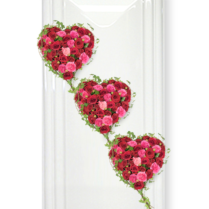 A deeply romantic and dignified floral display is shown here: three rose-filled hearts, carefully arranged one beneath the other in a loose diagonal, as if stepping gently down a chapel wall in Clerkenwell. Each heart is exquisitely sculpted from a dense mass of fresh roses in shades of rich crimson, warm cherry red, glowing fuchsia, and soft blush pink. The roses are packed so closely that they form a seamless surface of petals, with tight buds sitting alongside fully open blooms whose layered petals curl outwards like silk. This variation in size and openness creates movement and depth, giving the hearts a plush, three-dimensional quality that feels both luxurious and comforting. Encircling the roses, fine strands of trailing ivy outline every curve of the hearts. Their small, glossy green leaves introduce a hint of woodland freshness, while the vines continue down between one heart and the next, linking the trio into a single, flowing tribute. The composition is set against a stark, bright white background, reminiscent of a clean gallery wall or the interior of a contemporary ceremony space off St John Street. Subtle vertical lines and soft shadows suggest a smooth panel or partition, lending a calm, ordered frame that lets the vivid reds and pinks take centre stage. The overall impression is that of a lovingly crafted funeral arrangement, ideal for saying goodbye to someone adored, whether a partner, parent, or close friend. It conveys unwavering love, respect, and gratitude, expressed through the timeless language of roses and the gentle symbolism of interwoven hearts.