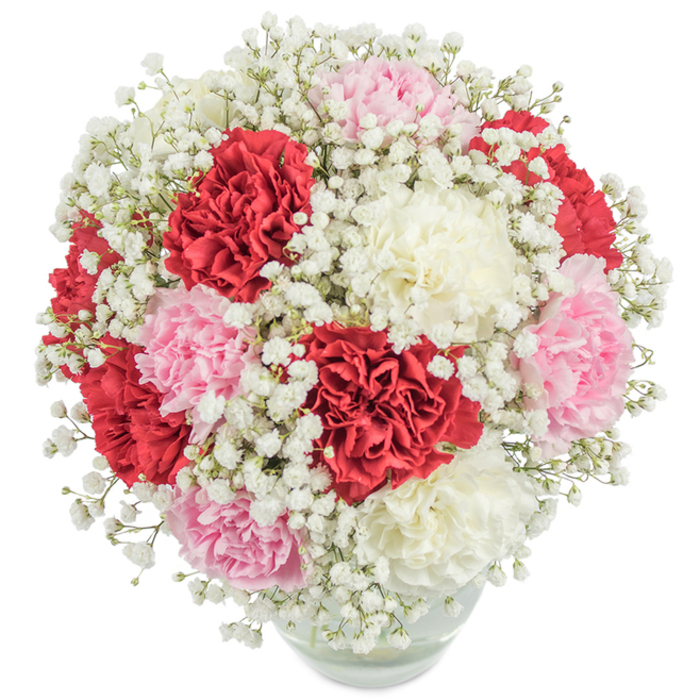 Artfully assembled by Clerkenwell's talented florists, this radiant bouquet speaks of both classic refinement and local charm, capturing the spirit of its historic London neighbourhood. Rich, ruffled carnation heads in vibrant crimson, pastel rose, and creamy white nestle together in a densely packed, rounded formation, each bloom's intricate petals cascading over the next in an abundant display. A liberal scattering of snowy Gypsophila-known for its feathery texture-enhances and lightens the composition, creating a gentle interplay between fullness and airiness that mirrors the balance of old and new along Clerkenwell Road. Resting in a simple, rounded glass vase, the bouquet's submerged stems are visible through clear water, a subtle nod to understated craftsmanship. Against a pristine white background and softly diffused light, the flowers appear almost luminous, their saturated colours vivid and inviting. This arrangement feels tailor-made for special occasions-a heartfelt thank you to a friend in Clerkenwell, a celebratory anniversary bouquet for a couple in Rosebery Avenue, or a thoughtful gift to brighten someone's day after a stroll through nearby parks. With every detail, this bouquet promises warmth, joy, and a touch of timeless elegance, echoing the welcoming character of Clerkenwell itself.