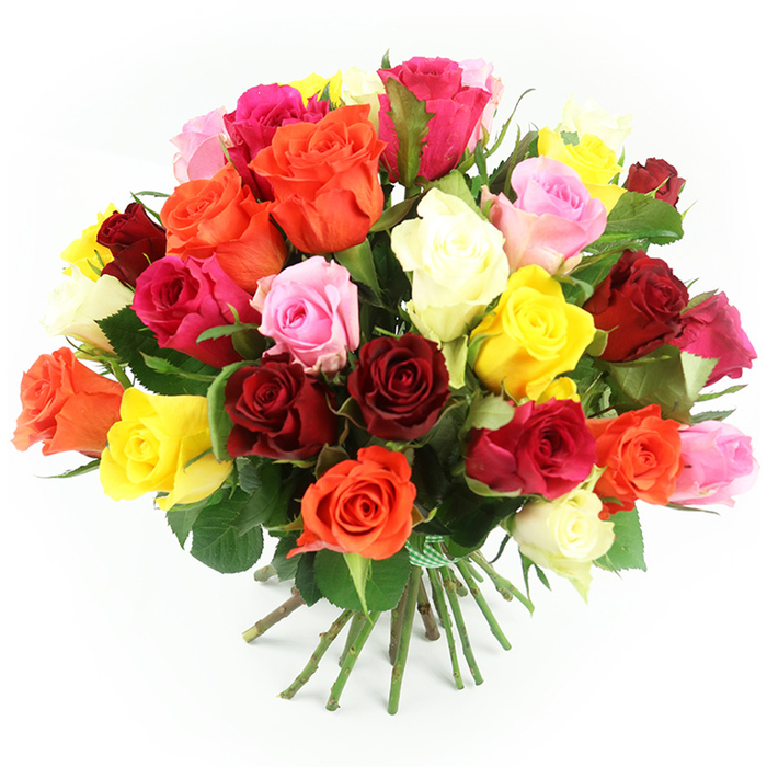 A bountiful cluster of freshly cut roses rests against a crisp white background, the bouquet so full that the blooms form a rounded, dome-shaped crown of colour. The roses are packed tightly together, creating a luxurious impression of abundance, as if every inch of space has been thoughtfully filled. Rich crimson and burgundy roses anchor the design, while bright fuchsia and cheerful yellow flowers add moments of light and energy. Soft pastel pinks and creamy white roses weave throughout, offering a gentle contrast to the stronger tones, and warm orange roses provide a sunset-like glow that unifies the palette. Each bloom displays its unique character: some are fully open with layered, ruffled petals curving outward, while others are in earlier stages of unfurling, their centres still secret and promising. Dark green foliage appears only in glimpses between the flowers, enough to frame the colours and hint at the freshness of the stems without breaking the saturation of the rose heads. Below this colourful canopy, the stems are straight, sturdy, and carefully gathered into a tight bundle, secured with a neat green and white check ribbon. The bow adds a touch of homely charm, reminiscent of a bouquet prepared at a small, independent studio near Clerkenwell Green, ready to be carried along to a celebration by the Barbican or a dinner party off Hatton Garden. The bright, even lighting makes every petal edge distinct, highlighting the bouquet's texture and vibrancy. It feels like a versatile, joyful arrangement, perfect for birthdays, anniversaries, or any moment when someone in Clerkenwell needs a burst of colour and affection delivered to their door.