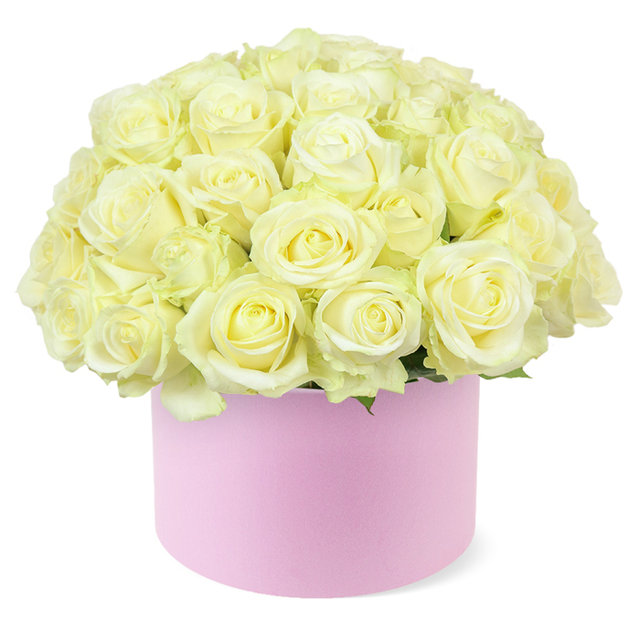 A round pastel pink hat box brims with dozens of creamy white and pale ivory roses, arranged in a perfect dome that suggests both luxury and meticulous care, as though crafted for an anniversary celebration in one of Clerkenwell's chic converted warehouses. Each rose is fully open or just shy of it, revealing intricate layers of velvety petals that spiral gently outward from a centre dusted with the softest touch of pastel yellow. The flowers are packed closely together so that their heads almost touch, forming a continuous, cloud-like canopy with no gaps, just a rich tapestry of overlapping blooms. A few discreet hints of fresh green foliage appear at the base of the arrangement, mostly hidden beneath the mass of petals but adding enough contrast to remind you these are living, breathing flowers. The hat box itself is cylindrical, with a smooth, matte surface in a delicate blush-pink tone, suggesting a premium hand-finished design that would sit beautifully on a polished table in a Clerkenwell design studio or café near Exmouth Market. Soft, even lighting enhances the gentle colour transitions in the petals, making the cream and ivory tones appear luminous against the clean white background. There are no ribbons or extra adornments, allowing the simplicity of roses and box to speak for themselves. The composition feels refined and contemporary, ideal for marking a wedding anniversary, a romantic surprise sent to a flat near St John Street, or a sophisticated gift for someone who appreciates modern floral design. It captures the quiet emotion of a handwritten love note, expressed entirely through flowers.
