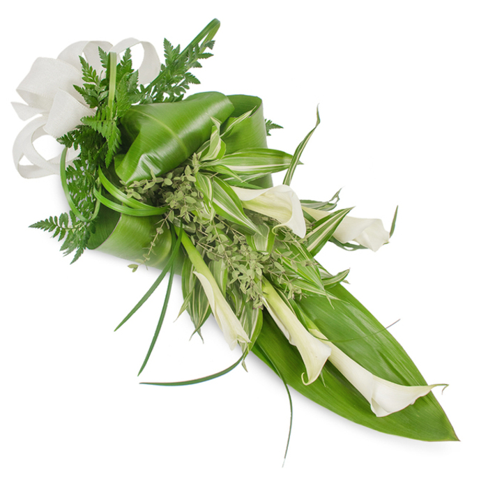 A refined, hand-tied cascade of white and green designed with clean contemporary lines, presented against a stark white background so each material reads with clarity. The focal notes are several ivory Calla lilies, their trumpet-shaped forms smooth and sculptural, some opening gently while others remain as elegant, tapered buds - all angled to draw the eye along the arrangement's diagonal from top-left to bottom-right. Large, glossy tropical leaves form the foundational structure: some are curved and folded to create subtle volume, one prominent leaf backing the lower right like a protective panel. Interwoven are feathery fern fronds and thin, grass-like blades that add softness and directional flow, while variegated striped foliage provides bright, lively patterning through the centre. Small, light green, almost frothy sprigs nestle between larger elements as natural filler, lending texture and an herbaceous whisper. A substantial off-white fabric bow, possibly woven linen or burlap, nestles in the upper left, its tactile weave contrasting with the lilies' satin-smooth petals. The picture suggests cool, diffuse lighting that emphasizes texture more than shadow, and the overall mood is poised and serene - equally suitable as an elegant bridal accent, a tasteful anniversary bouquet, or a dignified funeral tribute. As a local Clerkenwell-inspired design, it recalls walks past Exmouth Market stalls and the quiet dignity of Clerkenwell Green: understated urban elegance rendered in botanical form.