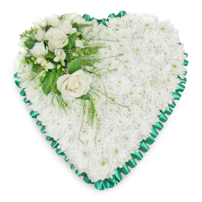 Classic white heart funeral tribute featuring a dense mass of pure white chrysanthemums, meticulously placed so they cover the entire surface of the heart like a thick, velvety snowfall. Each flower head sits closely against the next, creating a soft, cushioned look that feels both comforting and respectfully understated, ideal for a farewell gathering in Clerkenwell. The heart's outline is crisply defined by a rich emerald green satin ribbon, pleated into even, scalloped folds that follow every curve. The ribbon's gentle sheen and deep colour lend structure and contrast, echoing the green of the foliage and reinforcing the symbolic shape of love and remembrance. In the upper left curve of the heart, an elegant cluster forms the focal point. Two prominent white roses, fully open, reveal their layers of creamy petals, spiralling outward with an almost luminous quality. Around them, smaller white blooms reminiscent of freesias, along with a few buds, add fine details and subtle variation in size and shape. A mix of lush green foliage-broad, shiny leaves and airy, feathery fronds-surrounds and supports the roses, some greenery trailing lightly onto the chrysanthemum base to soften the transition between the cluster and the heart. The arrangement is photographed against a bright white backdrop, making the contrast between vivid green ribbon, foliage, and pure white blooms especially striking. This floral heart would be a meaningful centrepiece at a funeral or memorial service near Clerkenwell Green or Farringdon, its quiet beauty offering a tender, visual expression of sympathy and enduring affection when words may feel insufficient.