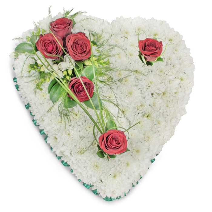 Brought together with the care of a neighbourhood florist, this heart-shaped memorial is a study in purity and reverence: a dense bed of tiny white chrysanthemums forms the entire foundation, their layered heads creating a soft, pillow-like texture that reads as peaceful and consoling under bright, even light. Five rich, deep-red roses are placed with thoughtful intention-three clustered at the upper left where they nestle into glossy ruscus and airy fern fronds, and two solitary blooms positioned near the top right curve and the lower point of the heart, each embraced by slim bear grass strands that curve gracefully away. Small white filler blossoms peek between greens, adding delicate detail while maintaining the design's calm simplicity. The heart's edge is neatly bound by a narrow emerald-green satin ribbon, its cool sheen creating a defined frame against the white backdrop and lending a quiet formality appropriate for a chapel or memorial service. The arrangement carries the warm, familiar fragrance of roses tempered by the clean, green notes of fresh foliage, evoking both affection and loss. At Clerkenwell Flowers we craft pieces like this for wakes and funerals across St John Street and Clerkenwell Green, mindful of how photograph, chapel lighting and family touch will reveal every petal and ribbon fold-an elegant, traditional tribute that speaks of remembrance, dignity and lasting love.