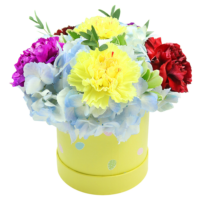 A compact dome of flowers sits neatly within a cylindrical pastel-yellow hatbox, photographed on a crisp white surface so every colour reads clearly. Two large yellow carnations dominate the centre, their ruffled, lemon-toned petals folding and overlapping like soft fabric and catching light to create subtle shadows in the heart of the bouquet. Beneath and around them, generous clusters of periwinkle and powder-blue hydrangea provide a soft, cloud-like underlayer; each tiny floret contributes to a tactile, almost plush texture that contrasts with the carnations' denser form. On the left, a saturated magenta-fuchsia carnation pushes its vivid tone into the mix, while the right side is counterweighted by a rich crimson carnation whose velvet depths add maturity to the palette. Narrow sprigs of green foliage emerge between blooms, their fresh, slightly glossy leaves introducing a crisp botanical edge. The box's surface is playful: irregular pastel dots in light blue, soft pink and pale green scatter around its circumference, some bearing tiny white speckles reminiscent of hand-decorated craft paper-an element that lends a bespoke, celebratory feel. The overall impression is joyful and refined, suitable for springtime events, a cheerful new-baby gift, or as a tasteful birthday surprise for someone living near Clerkenwell Road or Farringdon Station. The composition balances colour, scent and texture thoughtfully; it's the kind of neatly presented floral gift a local florist would choose when they want to send optimism in a compact, beautifully wrapped package.
