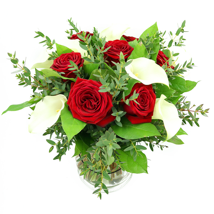 A dramatic yet elegantly balanced bouquet of deep red roses and pure white calla lilies fills a clear cylindrical glass vase, its silhouette clean and rounded against a stark white background. At first glance, the eye is drawn to the cluster of roses, each flower fully open and richly layered, the velvety crimson petals curling back in soft spirals that evoke classic romance and quiet dinners in Clerkenwell's tucked-away restaurants. Interwoven among them, sculptural calla lilies rise in gentle arcs, their white, trumpet-shaped petals smooth and slightly glossy, gathering light along their curves and revealing central yellow-orange spadices that lend a subtle glow. The interplay between the roses' textured abundance and the lilies' minimalist form creates a sense of harmony and poise, like the blend of old architecture and modern studios near Clerkenwell Green. Encircling the blooms, generous foliage gives volume and depth: airy, blue-green eucalyptus trails softly, its narrow rounded leaves adding a feathery, contemporary touch, while broad, dark emerald leaves frame the arrangement and intensify the vibrancy of the red and white flowers. Through the transparent vase, the neatly gathered stems are visible, submerged in clear water that enhances the impression of freshness. Bright, even lighting casts no harsh shadows, instead letting the colours appear saturated and true, with every petal edge and leaf vein clarified against the minimalist backdrop. This bouquet feels luxurious yet approachable, ideal for celebrating an anniversary in an EC1 apartment, marking Valentine's Day with a bold but refined gesture, or creating an elegant focal point on a dining table overlooking the streets of Clerkenwell.