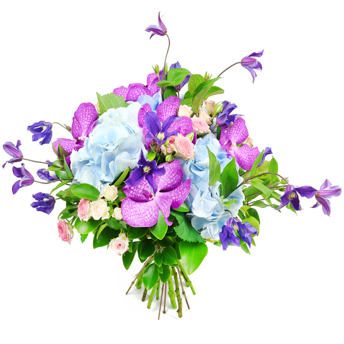 This hand-tied bouquet, shown against a pure white studio background, balances luxury and natural ease in a way that feels perfectly at home in Clerkenwell's blend of historic charm and modern design. At its centre, generous clusters of light blue hydrangea form rounded clouds of petals, each floret adding to a billowy, cushiony texture that suggests softness and abundance. Woven through these pastel blues, intense purple and fuchsia orchids-likely Vanda or Phalaenopsis-unfurl their broad, velvety petals, decorated with fine speckles and veins like delicate ink drawings, lending the arrangement a chic, contemporary edge. Stretching slightly above the main dome of blooms, deep purple clematis flowers appear on slender, flexible stems, their star-like shapes and gentle arcs recalling the climbing plants that trail over railings and brick facades near Clerkenwell Road. Between these more dramatic notes, clusters of miniature roses in blush pink and creamy white nestle in quietly, adding an intimate, romantic heartbeat to the design. Lush green foliage fans out around and within the bouquet, its glossy leaves catching the light and framing the cooler tones, creating a vivid interplay of colour that feels both refreshing and comforting. The stems, neatly bundled and tied, tell of professional care and readiness for delivery to a townhouse near Charterhouse Square or a studio tucked behind Farringdon station. In this carefully lit photograph, every petal and leaf appears crisp and fresh, giving the impression of a bouquet that could mark a new beginning, celebrate a promotion, or offer gentle comfort, all while bringing a refined splash of Clerkenwell colour into any room.