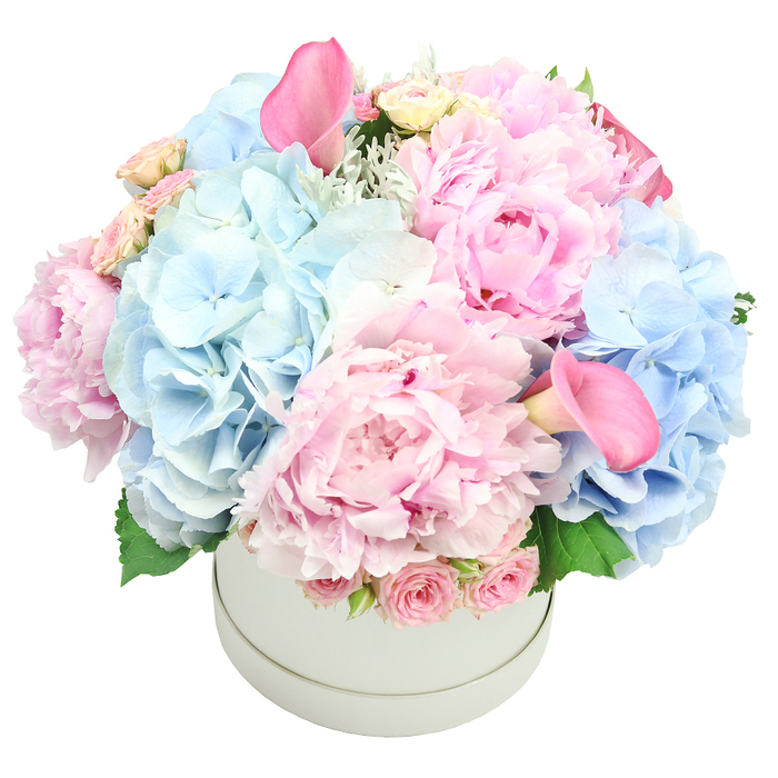 Presented in a refined light grey matte round box, this lush arrangement exudes sophisticated drama and gentle romance. The dome is built from large pink peonies unfurling their ruffled petals in warm blush tones, while voluminous clusters of baby blue hydrangeas add air and a cool counterpoint. Two vibrant pink calla lilies rise above the others, their trumpet shapes forming elegant vertical accents, with tightly budded spray roses tucked near the rim to introduce delicate texture. Silvery foliage, silvery dusty miller and fresh green leaves peek through the edge, giving a sense of depth and a natural, garden-like feel. The composition feels carefully balanced and versatile, from weddings and anniversaries to Mother's Day or a refined birthday surprise. The neutral grey box grounds the bouquet, making it easy to place as a table centerpiece in a venue around Clerkenwell, near Smithfield Market, or in a modern home on Old Street. This is a piece crafted with the characteristic precision of a Clerkenwell florist, designed to evoke quiet luxury and timeless beauty. We can arrange delivery across Clerkenwell and nearby neighbourhoods, with the same-day option available for urgent gifts. From the first glance to the last petal, the bouquet communicates elegance, crafted by Clerkenwell Flowers for a discerning recipient.