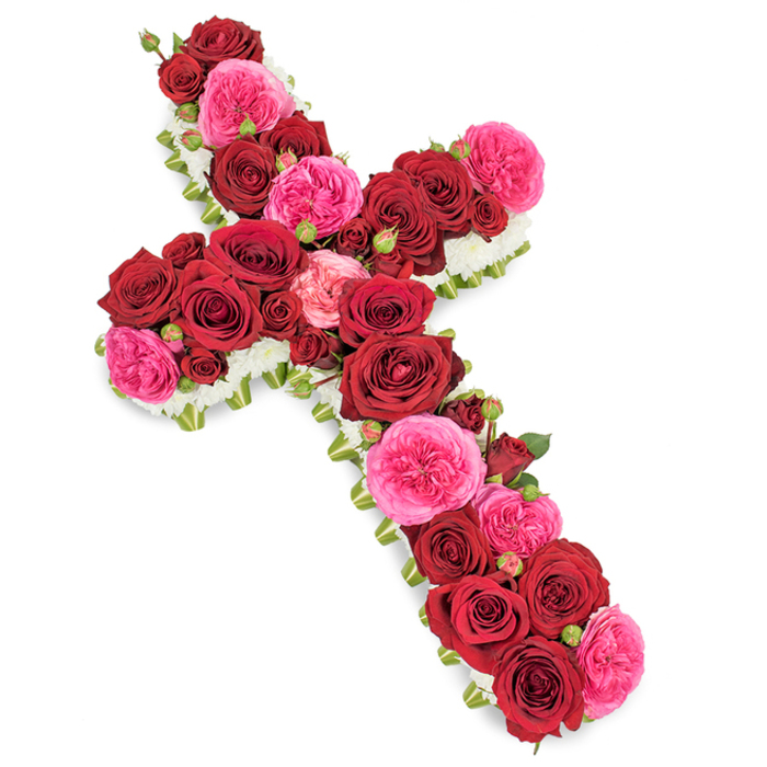 A beautifully composed floral cross, photographed on a clean white backdrop, combines classic Christian symbolism with luxurious, richly coloured roses. The entire cross is densely paved with deep red roses and fuchsia pink garden roses, so closely arranged that no underlying base is visible, creating the impression of a solid tapestry of petals. The larger red blooms dominate both the vertical shaft and the horizontal bar of the cross, their velvety, layered petals curling outward to form rounded, generous heads that embody passion, loyalty, and reverent love. Interspersed among them, the vibrant pink roses introduce a softer, romantic note, their slightly ruffled petals catching the light and lifting the mood of the tribute without diminishing its solemn character. Scattered rosebuds in matching tones add dimension and hint at the ongoing nature of love and remembrance, even after loss. Encircling the whole design is a fine, even trim of small white flowers-perhaps tiny chrysanthemums or spray carnations-creating a crisp, bright border that traces the iconic outline of the cross and imbues it with a feeling of peace and purity. Subtle glimpses of green foliage and possibly slim ribbon threads give a finished, hand-crafted touch, as though an attentive florist in Clerkenwell has just set it down after perfecting the final details. With soft, diffused lighting that highlights each curve and texture, this arrangement feels at home in a church near Clerkenwell Green or a quiet service by St James's, offering families a refined and heartfelt funeral tribute that honours faith, love, and a life deeply treasured.