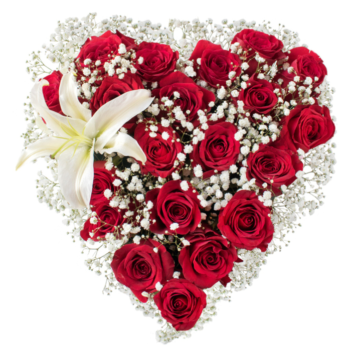 Centered on a stark white background, this meticulously arranged heart is formed by a dense assembly of deep crimson roses whose layered, velvety petals create a rich, tactile field. The roses vary in openness - some are tight and sculptural, others unfurling in broad, soft rosettes - producing a living mosaic of shadow and sheen that gives the heart its three-dimensional presence. Interlaced throughout and bordering the heart are airy sprays of white gypsophila (baby's breath); these tiny, cloud-like clusters soften the outline, filling negative spaces with delicate points of light and adding a gentle, almost lace-like texture against the saturated red. Anchoring the upper-left curve is a single, stately white lily whose smooth, broad petals radiate outward and reveal a pale golden wash toward the center; its yellow stamens are visible and provide a warm focal accent. The arrangement's composition balances abundance with refinement: the roses supply passionate density, the gypsophila offers levity, and the lily lends an elegant, sculptural note. Visually isolated by the white backdrop, every petal, highlight, and shadow reads with clarity, making the bouquet's romantic symbolism unmistakable. As a florist's piece intended to convey deep affection or solemn devotion, it carries a handcrafted feel - the kind of piece Clerkenwell residents might choose for a special anniversary, a proposal, or to send as a heartfelt expression to a neighbour on Rosebery Avenue or to an office near Smithfield's edges.