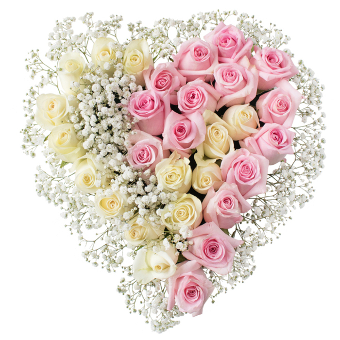 Luxurious heart-shaped rose tribute designed for a funeral or memorial, shown against a clean white backdrop that allows every colour and curve of the arrangement to be clearly seen. The heart is full and perfectly rounded, with a sharp, well-defined point at the base and gentle lobes at the top, giving it a classic, recognisable silhouette. Running straight down the middle is a subtle visual divide: on the left, the heart is filled edge to edge with creamy white to buttery, pale yellow roses, each rose carefully angled so the spirals of petals face outward and form a cohesive, velvety surface. On the right, the same meticulous placement continues with a lush carpet of medium pink roses, the shade soft and warm rather than bright, creating a sense of tenderness and affection. Fine stems of white baby's breath are intricately threaded across both halves, with slightly denser clusters forming a mist-like veil along the centre line and around the outside of the heart. This airy gypsophila breaks up the solid mass of roses, adding depth, gentle texture, and a sense of lightness to the tribute. The overall colour palette remains understated and respectful, ideal for expressing love and remembrance at a funeral in Clerkenwell, whether for a service near Farringdon, St John Street, or one of the local chapels. The flowers appear freshly arranged, with no browning or wilting, reflecting the careful standards of a professional Clerkenwell florist who understands how to create a tribute that feels both personal and dignified in moments of loss.