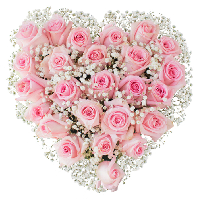 A lush, heart-shaped floral sculpture composed of roughly two to three dozen soft pastel pink roses sits against a pure white background, creating an image of composed tenderness and careful craft. Each rose is captured mid-expression - some tight as blushing buds, others easing open into layered spirals of velvety petals - their shades ranging from a faint, porcelain blush at the edges to a deeper, warm pink at the centre. Abundant sprigs of white baby's breath (Gypsophila) are woven through the roses, their minute, cloud-like blooms adding a luminous, feathered contrast that outlines the heart and lends the arrangement an almost weightless air. Bright, direct lighting accentuates the glossy texture of petals, the subtle shadows carved between overlapping blooms, and the delicate stems hidden beneath the floral surface. The piece reads as a carefully thought-out expression of deep affection - appropriate for celebrations of love, anniversaries, wedding gestures, or gentle farewells - and the craftsmanship nods to the hands of a seasoned florist. As a local touch, this kind of arrangement is frequently requested for intimate Clerkenwell events around Clerkenwell Green, Exmouth Market gatherings, or small weddings near St John's Square. Prepared with local sensibility and floral expertise at Clerkenwell Flowers, it conveys a quiet, sincere message of devotion while remaining visually pristine and emotionally resonant.