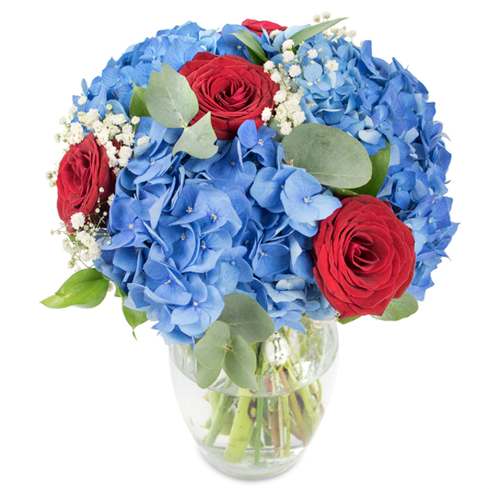 Set against a pristine white background, this bouquet is a study in colour and texture, presented in a transparent glass vase whose rounded base and tapered top display the waterline and tidy green stems. The dominant feature is a generous mass of bright blue hydrangeas - broad, overlapping petals forming voluminous, almost sculptural heads that feel both soft to the eye and substantial to the hand. Contrasting sharply with those cool blues are several rich red roses, their velvety faces tightly composed and deeply saturated, offering classical romance and visual punctuation. Sprigs of delicate white baby's breath are dispersed throughout, their tiny blossoms creating a delicate lace that lifts the arrangement and introduces an airy softness. Eucalyptus leaves, with their muted, rounded shapes, weave through the composition, adding depth, a silvery green counterbalance, and a faint, clean scent that complements the floral notes. The bright, directional lighting used here accentuates the hydrangeas' subtle gradients and the roses' satiny texture, while gentle shadows give the bouquet a three-dimensional presence. Imagine this piece occupying a reception desk in a Clerkenwell office near Spa Fields, or gracing a window table on St John Street; its confident palette reads as celebratory and refined at once. Ideal for anniversaries, birthdays, or a thoughtful gift to express admiration, the bouquet marries craftsmanship, seasonal freshness, and a bold, uplifting expression of colour.