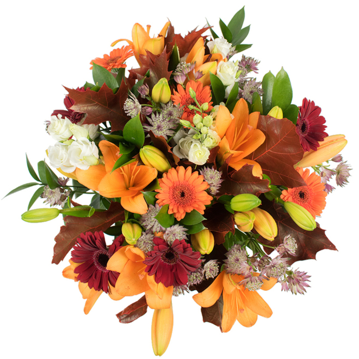 A lush, elevated view of a seasonal bouquet that reads like a small harvest - photographed against a stark white background so the colours resonate clearly. The composition is centred on several prominent orange Asiatic lilies, their petals wide and smooth, trumpet-like forms catching the light and creating a focal point of glowing orange. Surrounding these, vivid orange Gerbera daisies alternate with deep burgundy Gerberas, their flat, radiating petals and dark centres contributing joyful punctuation across the round mass. Soft white Lisianthus blossoms with layered, ruffled petals offer moments of quiet relief among the bolder tones, while muted purple Astrantia provides an airy, textured lacework that lifts the bouquet visually. Tight lily buds in shades of pale orange and fresh green are visible at different depths, suggesting life in progress and adding sculptural interest. Broad, deeply lobed leaves in warm reddish-brown - evocative of fallen oak - are carefully arranged to frame the flowers and deepen the autumnal story, complemented by glossy green foliage and slender stems that give structure and contrast. The overall effect is densely packed and impeccably fresh; the bright, even lighting accentuates the tactile differences between smooth lily petals, papery oak leaves, and the soft frill of lisianthus. This arrangement feels intentional and celebratory - ideal for a Thanksgiving centrepiece, a housewarming in Clerkenwell Green, or to bring seasonal cheer to a desk near Hatton Garden - and it conveys warmth, abundance, and the textured beauty of late-year blooms.