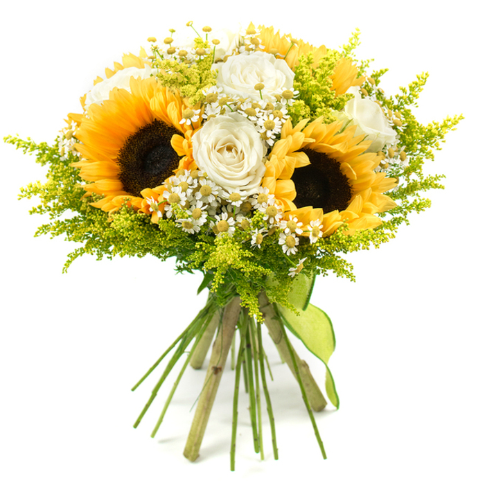 This photograph presents a vibrant, hand-tied bouquet set against a spotless white background, highlighting every hue and texture with striking clarity. Several showstopping sunflowers sit proudly at the centre, their large, nearly circular faces filled with dense, dark brown seeds and framed by overlapping petals in a rich golden-yellow, giving an immediate impression of warmth and energy. Woven between these sunny blooms are creamy white roses, some tightly furled and others gently opening, their layered petals displaying subtle ivory shadows that hint at depth and softness. Scattered throughout the bouquet are numerous small white daisy-like flowers, likely chamomile or feverfew, each tiny blossom with a bright yellow centre, bringing an airy, intricate detail that contrasts beautifully with the more substantial roses and sunflowers. Encircling and threading through the flowers is a generous amount of bright lime-green and chartreuse foliage, fine and feathery in texture, similar to solidago, with clusters of minute buds that introduce additional points of interest. This greenery expands the bouquet into a rounded, full form, yet keeps it light and natural, as though freshly gathered from a sunlit garden bordering one of Clerkenwell's narrow side streets or tucked-away courtyards. The long, straight stems are neatly aligned and cinched together with a lime-green fabric ribbon, tied with understated elegance around the base, its colour harmonising with the foliage and adding a contemporary twist. The arrangement radiates joy, positivity, and simple generosity, making it perfectly suited for birthdays, thank you gifts, or brightening a work studio near Farringdon, and it serves as a beautiful visual reference for seasonal sunflower and rose bouquets crafted in the Clerkenwell area.