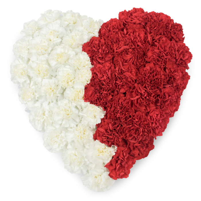 A striking, meticulously assembled heart of carnations fills the frame, the image captured from directly above so each bloom is visible. The left side of the heart is composed of creamy-white carnations whose layered, ruffled petals give a soft, pillowed texture; the right side is formed entirely of intense, velvety red carnations that lend the piece warmth and visual gravity. The two halves are separated by a sharply defined vertical line of nine triangular points - a serrated, saw-tooth motif that deliberately evokes the flag-like pattern associated with Qatar, giving the arrangement a potent national symbolism suited to diplomatic or patriotic occasions. Soft daylight glances off the petals, revealing subtle tonal differences in the cream and deep red, and one can almost imagine the gentle, spicy fragrance that fresh carnations emit. The design balances intimacy and ceremony: the heart silhouette speaks of love and remembrance, while the jagged central seam asserts identity and pride. As a floral composition destined for events or tributes in Clerkenwell, Farringdon or Holborn, it conveys both artisan skill and cultural sensitivity, with each carnation carefully placed to hold the geometric edge while preserving natural, ruffled texture. This is the kind of piece a local florist would deliver when a ceremonial statement must be both beautiful and unmistakably meaningful.