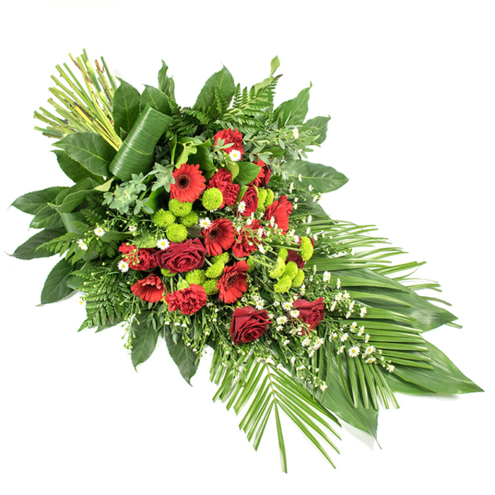 This detailed photograph captures a long, tapered funeral spray laid against a stark white background, allowing each flower and leaf to stand out clearly. The arrangement has a flowing, elongated teardrop shape, full at the centre and gradually narrowing at each end, like a gentle bowing gesture of respect. Dominating the composition are rich, dark red blooms: classic velvety roses in various stages of opening, confident gerbera daisies with dark, defined centres, and soft, ruffled carnations that add depth and movement. These reds create a heartfelt, solemn mood, ideal for a casket spray or condolence tribute delivered to a Clerkenwell service near Farringdon or Mount Pleasant. Interspersed among them are clusters of vivid lime green button chrysanthemums, their compact, rounded flower heads lending a fresh, contemporary energy that lifts the entire palette. Small white filler flowers - reminiscent of daisies, matricaria, or gypsophila - are scattered delicately throughout, softening the strong colours with a veil of lightness and grace. The blooms rest on a bed of lush, layered greenery: broad, glossy dark green leaves like salal form a sturdy base, while feathery ferns and other assorted foliage add a sense of texture and depth. Towards the lower right, slender palm-like leaves fan outward in a graceful sweep, accentuating the arrangement's length and direction. At the upper left, a structured bundle of tall, straight green stems provides height, its base partly wrapped in a single broad leaf that curls elegantly around, giving the design a polished, contemporary touch. Thoughtfully composed by experienced florists, this spray conveys deep sympathy and quiet elegance, suitable for any memorial or funeral across Clerkenwell and nearby central London neighbourhoods.