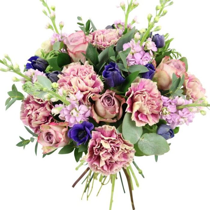 A richly textured, hand-tied bouquet stands out against a plain white background, every stem arranged with the precision and ease of a florist who knows these flowers as well as the streets of Clerkenwell. At the centre, large garden roses open generously in tones of blush pink, dusty mauve, and antique rose, their layered petals creating a soft, romantic focus that immediately anchors the design. Around them, abundant carnations unfurl in ruffled tiers, each bloom showing a seamless gradient from creamy, almost beige centres to warm blush and deeper rose at the petal tips, adding a sense of movement and fullness. Bold accents of colour appear in the form of deep indigo and royal blue flowers, including a standout blue anemone with a dark, velvety centre that draws the gaze like a gemstone. Some of these blue blooms remain in slender, tulip-like buds, hinting at further opening and giving the bouquet a feeling of quiet anticipation. Delicate stems of lilac and pale lavender stock rise through the arrangement, dotted with small, star-like blossoms that bring airy height and a gentle, sweet fragrance. The entire composition is threaded with greenery: rounded, silvery eucalyptus leaves weave between darker green foliage, creating contrast in both texture and tone and suggesting a fresh, cool scent. The stems are visibly gathered in a tidy bind at the base, emphasizing that this is a freshly prepared hand-tied bouquet, ready for delivery to a flat off Rosebery Avenue or a studio near Hatton Garden. Combining romantic pinks, soothing purples, and dramatic blues with lush greens, the design feels ideal for anniversaries, special celebrations, or as a thoughtful gesture to bring elegance into a Clerkenwell workspace.