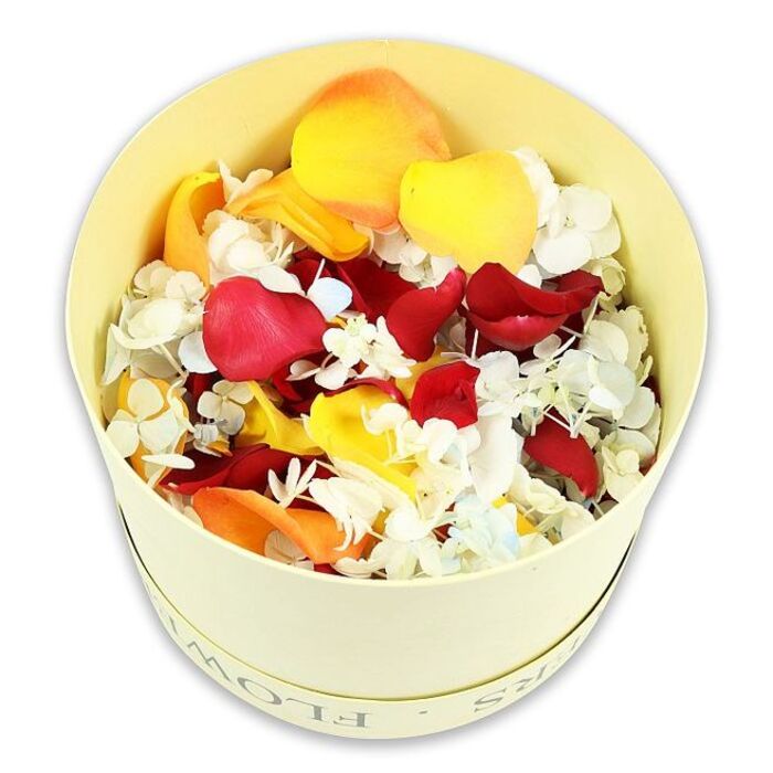 Set against a spotless white background, a round, pale cream-yellow gift box takes centre stage, its understated design suggesting quiet elegance and respect. The box, likely crafted from sturdy paperboard, rises in a neat cylinder, with faint, debossed lettering around the side that spells out FLOWERS in a discreet script, much like the refined packaging seen in independent studios off Clerkenwell Road. The container is filled to the brim and softly mounded with a sumptuous blend of carefully dried flower petals and miniature florets, curated with a florist's eye for harmony and depth. Dominating the mix are velvety rose petals in deep crimson red, their folded edges and gentle ripples catching subtle shadows, interlaced with warm peach-orange notes and clear yellow petals reminiscent of late afternoon sun. Between these bold tones, countless tiny white hydrangea-like florets weave through the arrangement, their delicate, almost weightless petals adding a lace-like texture. A few blush hints of the palest blue or cream can be seen in the hydrangea clusters, softening the overall colour story. The petals appear pristine and well-preserved, each curve and crease intact, creating a rich, tactile surface that seems almost overflowing with memory and sentiment. Captured from slightly above, the image highlights the abundance and gentle luxury of the petals, isolated completely from distraction so the viewer's focus rests on form, colour, and texture. This curated collection feels ideal for a dignified tribute: scattering over a graveside in a local Clerkenwell cemetery, surrounding a remembrance candle, or decorating a condolence table at a funeral gathering, bringing a natural, heartfelt softness to moments of farewell.