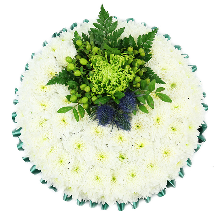 This photograph captures a perfectly round funeral tribute from a direct overhead angle, set against a clean white background that emphasises its gentle, structured beauty. The main body of the design is an immaculate cushion of white chrysanthemums, likely spray or cushion varieties, packed with deliberate precision so that the entire surface appears smooth and even. Each blossom is small but full, with many layered petals radiating around a pale green-yellow eye, giving the impression of a peaceful, snowy blanket laid carefully for a final rest. Around the outer edge, a band of emerald green satin ribbon has been folded into neat pleats, forming a crisp, scalloped border that adds both colour and formality. Toward the upper centre of the cushion, a striking cluster of green and blue flowers rises from the white base. A lime-green spider chrysanthemum dominates the middle, its long, slender petals splaying outward like a firework frozen in motion. Around it, glossy apple-green Hypericum berries nestle among dark green leaves and fine, feathery ferns, adding movement and depth. Two bold Scottish thistles, in deep dusty blue with hints of violet, stand proudly within the foliage, their spiny heads offering strong texture and clear cultural symbolism, ideal for a family honouring Scottish roots here in Clerkenwell. The overall design feels serene and intentional, a balance of tradition and individuality that would be fitting for a funeral service or celebration of life in the local area, whether placed by the casket, on a stand, or beside a framed photograph of the person being remembered.