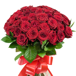 Nestled against a clear, white background, this opulent bouquet showcases a bountiful dome of over fifty vibrant red roses, each flower exuding the classic allure of romance so beloved in Clerkenwell's cobbled lanes. The roses, tightly gathered, create an impression of sheer abundance and passionate energy-their velvety crimson petals arranged with meticulous care, ensuring each spiral and soft fold is visible. Between the blooms, clusters of glossy, far-reaching green leaves add both restful balance and a subtle reminder of London's leafy squares, such as Spa Fields and the gardens near St John's Gate. Expertly finished, the bound stems are wrapped in a luxurious red satin ribbon, tied into an extravagant, multi-tiered bow with trailing ends that flutter like celebratory banners. In the gentle, filtered daylight, the bouquet's colours shift subtly from ruby to garnet, creating a play of depth and vibrance that feels both contemporary and timeless-a hallmark of Clerkenwell Flowers' artistry. This bouquet resonates with the joy of grand celebrations and meaningful milestones: an anniversary surprise, a Valentine's declaration, or a birthday gift with heart. Its sensual impact-the imagined heady perfume of the roses, the coolness of the leaves, the soft sheen of ribbon-transports you to an intimate moment of connection, making this arrangement unforgettable.
