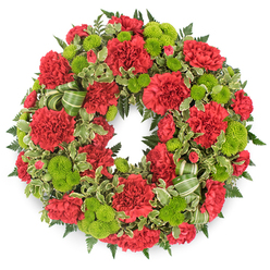 A substantial circular wreath of sympathy flowers is centred against a clean white background, its saturated reds and luminous greens forming a striking ring of colour that immediately draws attention. The design is built around generous clusters of deep red carnations, each bloom packed with fine, frilled petals that create a plush, almost cloud-like surface as they curve around the circle. Threaded between them are bright lime green button chrysanthemums, their tight domes of tiny florets adding a playful, almost beaded texture that enlivens the whole tribute. The flowers are anchored in a lush collar of greenery: dark, feathery fern fronds that add depth and shadow; glossy leaves in varying shades of green; and variegated pittosporum with pale, creamy margins that introduce a gentle, patterned lightness. A soft green striped ribbon, looped artfully within the foliage, echoes the greens of the flowers and leaves, giving the wreath a polished, handcrafted finish. The plain white setting and even lighting make every colour and contour stand out, as if the wreath were resting in the window of a Clerkenwell florist just off Exmouth Market, ready for delivery to a nearby church or crematorium. Emotionally, the combination of solemn crimson and hopeful lime green conveys both sorrow and gratitude for a life shared, making this design especially fitting for funeral services, memorials at local halls, or quiet family gatherings at home. It feels like a carefully considered message of sympathy, crafted by someone who understands the needs of the Clerkenwell community at times of loss.