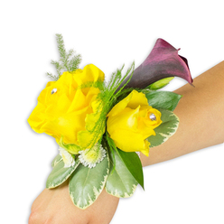 Arranged with the steady hand of a local florist, this wrist corsage lies diagonally across a fair-to-medium forearm on a clean white background, each element composed to read clearly in both photograph and in hand. The focal point is a pair of radiant yellow roses - one open and generous on the left, the other slightly more cupped to the right - their petals thick and buttery under soft light and releasing that familiar, gentle rose scent. Nestled within each bloom is a single clear diamante that twinkles like a tiny star, catching movement and adding a hint of formal sparkle. Rising just behind the roses is a deep plum calla lily, almost black-cherry in tone, its smooth, trumpet-like curve giving sculptural contrast to the round, layered roses. Textural depth comes from bright asparagus fern sprigs that create feathery halos, while variegated green-and-cream leaves form a steady base with cool, waxy surfaces. Scattered among these are small white spray flowers that read like tiny constellations, filling negative space and softening edges. The corsage is secured with a slender, largely concealed band so it appears to float across the skin, positioned from the lower-left corner toward the middle-right of the frame. Crafted in a Clerkenwell studio and inspired by palettes seen at Exmouth Market and nearby Spa Fields, this piece balances cheer and elegance - a wearable accent for prom, bridesmaids, or an honoured guest stepping out into a London evening.