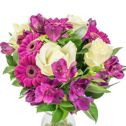 I arranged this compact, joyful bouquet in our Clerkenwell workshop, balancing a touch of classic elegance with bright, friendly exuberance typical of mornings around St John's Square. Creamy white roses anchor the design with their layered, velvety petals and a restrained, familiar fragrance; they offer a gentle, timeless centre around which colour and movement orbit. Vivid purple-pink Gerbera daisies punctuate the composition like small suns - bold, cheerful faces with densely packed petals and darker central discs that lift the entire arrangement. Threaded through these are sprays of Alstroemeria in deep purples and fuchsia tones, each petal often flecked with fine markings that read as delicate, natural patterning and add a fluttering, almost musical quality. Rich green foliage - a mix of broader glossy leaves and narrower, sword-like stems - frames each bloom, producing a layered silhouette and pockets of shadow that highlight the flowers' textures. A subtle hint of a clear glass vase is visible at the base, simple and modern, letting the bouquet hold a rounded, abundant shape without distraction. In the soft, north-facing light of the studio the colours feel fresh and clean: the whites read almost luminous, the magentas vivid but sophisticated. This arrangement is designed to brighten a breakfast table in a Clerkenwell flat, to soften a reception desk on Farringdon Road, or to arrive as a same-day floral gift for celebrations and small, personal milestones. The overall impression is one of thoughtful craftsmanship - joyful, elegant, and reliably fresh - reflecting local taste and floral know-how.