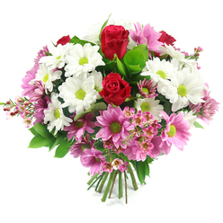 This image captures a lush, dome-shaped bouquet of fresh flowers set against a bright white backdrop, the simplicity of the background allowing every detail of the arrangement to stand out clearly. At the heart of the design sit two deep red roses, their petals coiled tightly in classic spirals that convey romance, respect, and the sense of a well-considered gesture. Encircling the roses is a generous array of white daisy-like chrysanthemums, each bloom perfectly crisp, with a bold lime-green centre that injects a lively freshness, much like stepping out from a Clerkenwell studio into the greenery of a nearby square. Woven among these white flowers are many light to mid-pink daisy-style blossoms, also featuring vivid green eyes, which create soft ribbons of colour that bring cheer, balance, and a gentle sense of celebration. Fine stems of pale pink waxflowers thread their way throughout the bouquet, their tiny star-shaped flowers and visible stamens adding intricate, almost lace-like texture and visual interest, echoing the detail of the historic architecture along Clerkenwell Road. The surrounding foliage is full and verdant, with broad, glossy leaves providing a strong base and smaller, brighter greens giving the composition movement and natural depth. At the bottom, the fresh green stems are neatly cut and hand-tied, ready to be placed into a favourite vase in a Clerkenwell loft or office workspace. The lighting is soft and even, helping the reds, whites, pinks, and greens to appear vibrant yet soothing. Overall, the bouquet suggests joy, affection, and gratitude, making it an ideal gift for birthdays, anniversaries, congratulations, or a thoughtful 'thinking of you' gesture delivered locally around EC1.