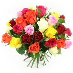 A lush, rounded bouquet of roses fills the frame, set against a spotless white backdrop that allows every colour and texture to stand out. The arrangement is densely composed, with no gaps between the blooms, creating a rich, almost quilt-like pattern of petals. Deep crimson and ruby roses sit comfortably beside sunny yellow, tangerine orange, and bright fuchsia flowers, their tones softened by pastel pink and creamy white blossoms that gently balance the vibrancy. Each rose shows off its characteristic spiral of velvety petals, some tightly layered in bud form and others wide open, revealing delicate hearts that suggest fullness and abundance. Slender glimpses of dark green leaves weave between the blossoms, adding depth and framing the bouquet with a touch of natural woodland freshness. At the base, the long green stems are carefully aligned, then tied together with a green and white gingham ribbon, the simple pattern giving the whole piece a hand-crafted, thoughtful quality, much like a bouquet prepared for a neighbour along Clerkenwell Road or a celebration in a studio near St John's Square. The lighting is bright yet soft, with a clarity that highlights the smooth texture of the petals and the gentle gloss of the foliage. The overall mood is joyful and inviting, suggesting a bouquet chosen to mark a happy milestone, to brighten a Clerkenwell flat on a grey day, or to be delivered as an uplifting surprise to a colleague in one of the area's creative offices. The photograph captures both the artistry of precise arranging and the timeless emotional pull of fresh roses.
