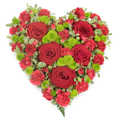A deeply romantic heart-shaped floral tribute fills the frame, its design both precise and full of emotion, as if created for a heartfelt farewell in one of Clerkenwell's historic churches. The entire heart is densely packed, so the viewer sees only flowers and a delicate edge of foliage, no stems or mechanics. Large, velvety red roses, each with spiralling, tightly layered petals, sit like jewels across the heart, giving focal points of classic beauty. Surrounding them, clusters of red carnations and mini carnations add a soft, frilled texture, their many tiny petals creating a plush, almost cushion-like effect. Threaded through this expanse of red are bright lime-green button chrysanthemums, their small, domed flower heads catching the light and offering a fresh contrast that keeps the design from feeling heavy. Around the perimeter, variegated green-and-cream leaves form a gentle framework, with the occasional fern frond slipping out near the tip of the heart, echoing the natural greenery you might see in Spa Fields or down toward Clerkenwell Green. The colours appear rich and saturated against the clean white background, suggesting careful indoor lighting that highlights every curve of petal and leaf. Though silent, the arrangement conveys volumes: enduring love, respect, and remembrance, suitable for a funeral, wake, or memorial service. It feels like something a local Clerkenwell florist would prepare with care for same-day delivery to a nearby chapel, crematorium, or family home, offering families a comforting way to say goodbye through a timeless symbol of the heart.
