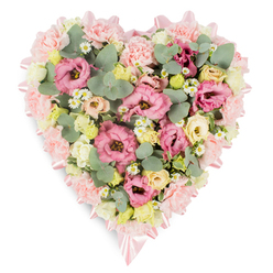 Displayed against a clean white background, this heart-shaped floral arrangement is composed with the kind of care a Clerkenwell florist might bring to a family funeral near St John's Square. The heart's edge is softly traced by a blush pink satin ribbon, its smooth surface catching subtle highlights as it curves around the form and ties into tidy bows at the upper and lower tips. Inside this delicate frame, layers of pink lisianthus and light pink carnations form a plush, velvety base, their ruffled petals overlapping so closely that no gaps of white show through. Creamy yellow and pale ivory spray roses nestle among the softer pink tones, their smaller, cupped blooms suggesting both gentleness and quiet hope. Here and there, dainty white daisy-like flowers with bright yellow centres offer a fresh, garden-like touch, as if picked from a peaceful London courtyard. Eucalyptus leaves in a soft, silvery green arc through the flowers, their round shapes and muted tone cooling the palette, while darker green, variegated foliage deepens the heart's outline and adds a natural, woodland feel. The overall impression is of a full, embracing wreath, both tender and composed, suitable for resting beside a photograph at a memorial gathering or accompanying a hearse along the streets around Farringdon and Clerkenwell Road. Its pastel hues and thoughtful structure evoke compassion, remembrance, and a gentle strength, creating a floral tribute that feels like a final, heartfelt embrace for someone much loved and deeply missed.
