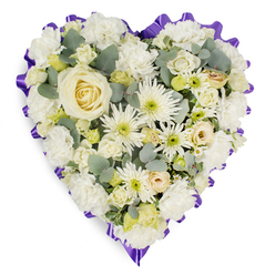 Against a pure white background a carefully crafted heart-shaped spray presents a chorus of white and cream blossoms, arranged to convey calm, respect and enduring affection. At its core sits a single creamy-white rose, petals unfurling in perfect symmetry; surrounding it, layers of white carnations build a soft, plush foundation while white chrysanthemum varieties - including slender, spider-like petals with pale green centers - create a lively, textural contrast. Small cream roses and tight lisianthus buds are tucked into the composition, adding delicate punctuation and a sense of depth, and sprigs of blue-green eucalyptus are woven throughout to lend cool, silvery foliage and a faint, restorative scent. The whole heart is clearly defined by a rich purple, ruffled ribbon that scallops around the edge, framing the composition with solemn elegance. Soft, diffuse light falls across the arrangement, accentuating the satin sheen on petals and the fine serrations of leaves, inviting both sight and memory to linger. Prepared fresh in our Clerkenwell studio for local memorials and funeral services - often requested by families near Exmouth Market or Clerkenwell Green - this tribute reads as a composed statement of condolence, offering a tactile, fragrant reassurance. As floral professionals we design it to sit respectfully at a service or graveside, its quiet palette and thoughtful construction speaking of love, dignity and remembrance without fanfare. (Clerkenwell Flowers)