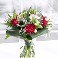 A richly romantic floral arrangement is displayed in a simple clear glass cylinder vase, the stems visible below the waterline like a neat bundle of green ribbons. Above, the bouquet bursts into life with deep red roses whose velvety petals are just beginning to unfurl, each bloom holding that poised moment between bud and full flower. A large crimson carnation, densely ruffled and almost frilly in texture, sits prominently toward the front, adding a tactile, sculptural quality. These passionate scarlet tones are softened by an airy constellation of white flowers: elegant white alstroemeria with slender petals marked by fine speckles, plump chrysanthemum-like blooms, and several smooth white lily buds still closed, suggesting beauty yet to unfold. Wisps of baby's breath, or gypsophila, weave between the larger flowers, their tiny white dots giving the arrangement a light, almost sparkling effect. All of this colour is cradled by generous greenery-broad, glossy dark green leaves meticulously shaped around the base, eucalyptus-style sprigs in muted greens, and upright pointed leaves that help give the bouquet height and structure. The arrangement sits on a clean white surface in soft, even daylight, reminiscent of a bright Clerkenwell apartment or studio near St John Street, where natural light spills in and makes each hue glow. The background is gently blurred, so the viewer's focus never strays from the blooms themselves. The overall impression is one of polished celebration and deep affection, a bouquet well suited to marking milestones, from anniversaries and graduations to congratulating a new business opening around Farringdon or Charterhouse Square.