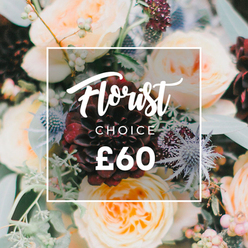 This image captures a bouquet that reads like a small, cultivated meadow: the focal point is a striking, deep burgundy dahlia whose velvety, layered petals draw the eye into the centre, giving the design a dramatic, romantic heart. Around it, garden roses in creamy white, soft peach and blushing apricot fold into each other with ruffled, buttery texture, their scent almost perceptible - warm, honeyed and intimate. Interspersed are icy blue eryngium thistles, their spiky, architectural forms offering a cool, modern counterpoint, while pale green or ivory hypericum berries scatter like tiny islands of light. Varied greenery, including frosty eucalyptus leaves and deeper, glossy foliage, fills out the composition and adds a fresh, herby note that balances the sweetness of the roses. Soft, directional light molds the bouquet, catching the dahlia's velvet and the rose petals' translucence so each bloom reads as a distinct form within the whole. Centered over the floral display is a crisp white square frame with rounded corners; inside, white script spells Florist, a small uppercase CHOICE sits beneath, and the bold price ?60 anchors the design - the white text contrasts deliberately with the darker blooms below. The arrangement reads as a thoughtful 'Florist's Choice' - an expert-curated selection perfect for romantic moments, milestone celebrations, or to console with beauty. As a local Clerkenwell florist's offering, it pairs well with same-day delivery across Exmouth Market and nearby streets, bringing a layered scent and artisanal finish to any room.