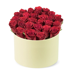 This arrangement presents approximately two dozen or more deep red roses, their velvety heads forming a flawless, symmetrical crown atop a round pale ivory box with a smooth matte finish. The petals are tightly furled, signaling peak bloom, while discreet green foliage threads through the blossoms to add a natural, garden-fresh contrast. The bouquet fills the cylindrical container completely, producing a dense domed silhouette that rises just above the rim when viewed from a slightly elevated three-quarter angle against a crisp white background. Light plays across the velvety surfaces, catching hints of wine-dark depth and soft sheen, inviting the imagination to linger on the scent of rose and the sensation of velvet fingertips. This luxurious gift suits anniversaries, Valentine's Day, milestone birthdays, or same-day delivery to Clerkenwell and nearby streets such as Farringdon Road, Hatton Garden, and Smithfield Market. From a trusted local florist, the piece carries proof of craftsmanship, reliable service, and a refined taste that resonates with the Clerkenwell community. If you're marking a special moment, this red rose box offers a timeless, modern statement of love, delivered with care to the heart of London's historic quarter.