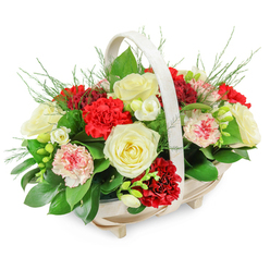 A softly lit funeral flower basket is presented against a pure white background, its pale wooden frame and curved handle evoking quiet simplicity and peace. The oval basket, raised discreetly on small feet, cradles a dense, rounded composition of creamy white, deep red, and blush pink blooms, carefully arranged to suggest both abundance and calm reflection. At the heart of the display, several creamy white roses open fully, their layered petals smooth and velvety, like folded silk, symbolising remembrance and the purity of cherished memories. Interwoven with them are rich red carnations, their pleated petals forming ruffled rosettes that bring a sense of warmth and enduring love to the tribute. Scattered throughout are lighter pink and bi-coloured carnations, some with white centres and finely edged petals painted in red, which gently bridge the deep crimson and pale cream tones. Fine sprays of small white flowers, probably freesias, arc gracefully among the larger blooms, suggesting a soft, subtle fragrance that speaks of quiet comfort during a difficult goodbye. Around the edges and beneath the blossoms, a generous collar of dark green foliage, such as salal or ruscus, adds structure and contrast, while wisps of fern-like greenery emerge here and there, lending movement and a natural, garden-like feel. Created with the thoughtful care of a local Clerkenwell florist, this arrangement would sit beautifully beside a casket, at a crematorium near Farringdon, or on a memory table in a funeral home, offering a gentle expression of sympathy, respect, and support to grieving families across Clerkenwell and the surrounding EC1 streets.