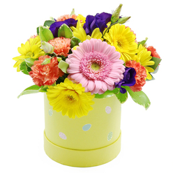 Set against a spotless white backdrop, this Easter hatbox arrangement feels like a concentrated burst of spring, the sort of cheerful colour one might crave after a grey morning on Clerkenwell Road. The flowers are arranged in a generous, rounded dome, creating a sense of abundance and fullness. At the heart of the design sits a large pink Gerbera daisy, its petals soft and symmetrical around a pale green centre, giving the bouquet an open, welcoming expression. Around it, bright yellow chrysanthemum-style blooms radiate with energy, their daisy-like faces suggesting sunshine and light. Threaded between these are frilled coral-orange carnations, adding both volume and a gentle, nostalgic warmth that softens the palette. Pops of deep violet-purple lisianthus provide an elegant counterpoint, their velvety petals adding depth and sophistication to the otherwise playful mix. The foliage is varied and fresh, with glossy greens and a few subtly variegated leaves that break up the colour blocks and add a natural, garden-inspired texture. All of the flowers are gathered into a cylindrical pastel lime-yellow hatbox, its surface decorated with scattered pastel Easter eggs in soft blues, pinks, and whites, some accented with tiny dots and stripes. The container's smooth, modern shape and whimsical pattern give the design a contemporary yet family-friendly feel, perfect for an Easter brunch table in a Clerkenwell loft or a seasonal gift delivered to a friend near Sadler's Wells. It conveys the warmth of spring celebrations, the excitement of new beginnings, and the delight of receiving something handcrafted with a florist's attentive eye for colour and balance.