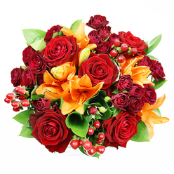 From a top-down viewpoint on a pure white backdrop, this opulent bouquet presents a densely arranged circle of colour and tactility that feels both festive and intimate. Dominating the view are several large, fully bloomed deep red roses whose layered velvet petals fold inward toward intricate, shadowed centres that speak of romance and quiet intensity. Between these anchors sit vivid orange Asiatic lilies, their trumpet shapes arcing outward; some blossoms stand fully open and reveal dark speckling and stamens tipped with pollen, while others remain in elegant, unfolding stages that add a sense of movement. Dark wine-toned spray roses appear in compact clusters, their miniature blooms contributing a lush, velveteen depth that amplifies the red palette. Small bunches of glossy ruby Hypericum berries sit like bright punctuation across the surface, their satiny spheres contrasting with the softer textures of petals. Sprays of verdant ruscus or salal provide broad green backdrops, the leaves' cool gloss lifting the warm tones and giving the arrangement a confident structure. Soft, even overhead lighting highlights the tactile qualities-velvet, satin, crisp petal edges-and makes the reds and oranges glow without glare. You can almost sense the combined fragrance: lily's citrus-spice overlaid on the classic, round scent of garden roses. As an experienced florist in Clerkenwell, I imagine this piece placed on a white dining table in St John's Square or sent as a celebratory gift to a nearby flat; its palette suits anniversaries, autumnal interiors, or any moment calling for heartfelt warmth.