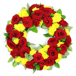 Set against a stark white background, this striking circular funeral wreath looks as though it has just left the workbench of a skilled Clerkenwell florist preparing for a thoughtful tribute near Farringdon or St John Street. The design forms a perfect ring, thick with flowers and foliage, leaving a clear, open centre that naturally draws the eye inward and invites reflection. Deep red roses dominate the composition, each bloom carefully opened to reveal spiralling, velvety petals that shift subtly from ruby red to a more shadowed burgundy near the heart of the wreath. Nestled between these larger blooms are clusters of small, sunny yellow chrysanthemums, their many fine petals creating a soft, cushion-like texture that contrasts beautifully with the smooth rose petals. Together, the red and yellow tones feel both comforting and quietly uplifting, like a celebration of a life well lived. The flowers are supported by layers of fresh green foliage, likely glossy salal leaves and sprigs of muted, silvery-green greenery, perhaps eucalyptus, which peek through the blooms to add depth and a sense of natural abundance. No stems are visible; everything is tightly bound into a full, symmetrical circle that appears robust yet tender. Under bright, even lighting, every nuance of colour and texture becomes clear: the sheen on a leaf, the slight curl of a petal, the density of each chrysanthemum head. It's a wreath that speaks of careful craftsmanship and respect, well suited to a funeral, cremation service, or memorial gathering in Clerkenwell where a graceful, traditional tribute is desired.