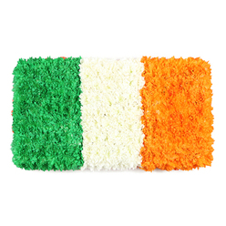 In this elegant floral tribute, the Irish flag's three vertical bands emerge through a tapestry of petals-green on the left, white in the middle, and orange on the right. The petals are so densely packed that the flag reads with a bold, tactile presence, the colours catching light and casting gentle shadows across the white background. The green stripe resembles a plush carpet of tiny blossoms, the white stripe appears softly clouded by delicate white petals, and the orange edge radiates a warm, sunlit glow. The overall texture is rich and three-dimensional, inviting viewers to linger on the intricate petal clusters and the careful alignment that preserves crisp, uninterrupted color blocks. This crafted piece feels both celebratory and reverent, a living symbol of Irish identity and shared heritage framed by Clerkenwell's historic streets near Exmouth Market and Farringdon. Crafted with quiet expertise by Clerkenwell Flowers, it embodies a sense of community, memory, and respect. The arrangement would be suitable for St. Patrick's Day displays, remembrance ceremonies, or events celebrating unity, with availability for same-day delivery across the local area and beyond into central London.