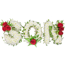 A reverent floral composition crafted to spell SON in bold capital letters rests against a clean white backdrop, each letter formed from a dense, cushion-like assembly of small white spray chrysanthemums or similar delicate blooms. The texture is soft and reassuring, like a whispered memory; the blooms are close-set to create a smooth, continuous surface that reads as both tactile and visually calm. Interlaced throughout the letters, trails of fresh green ivy trace the contours and introduce lively lines of contrast, while glossy foliage provides depth and a sense of rooted permanence. Punctuating the quiet white are dramatic clusters of deep red roses placed with deliberate care: three roses sit tucked into the upper left curve of the S with supportive dark leaves; a single, formal red rose rests at the base of the O, surrounded by ferny greenery that lifts it gently; and three more red roses run vertically along the right side of the N, adding balance and a bold, emotional counterpoint. Soft, natural light highlights the chrysanthemums' creamy tones and the roses' velvety petals, creating subtle shadows that reveal the florist's hand. As an experienced local florist I often see families select this personalised son tribute for funeral services or memorial displays around Clerkenwell and Farringdon. Clerkenwell Flowers prepares pieces like this with attention to symbolism-white for peace, green for enduring life, red for love-so the design feels both comforting and exquisitely respectful to those saying goodbye.