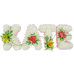 Set against a clean, uncluttered white background, this floral name tribute spells out KATE in four generous capital letters, each one shaped entirely from pure white chrysanthemums that sit closely together like soft snowdrifts. The flowers' rounded petals create a plush, velvety surface, bringing a sense of comfort and quiet dignity to the design. Around the outer edges of the 'K', 'A', 'T' and 'E', a narrow light pink ribbon is expertly gathered and pinned, its satin finish adding a delicate blush of colour and a graceful, hand-crafted feel. Nestled into the white blooms, vibrant focal flowers bring warmth and character: yellow-green cymbidium orchids with their speckled, reddish-brown centres glow softly on the 'K' and 'T', while deep red, heart-shaped anthuriums highlight the 'A' and 'E', their glossy petals and raised centres catching the light. Rich, dark green leaves and fine fern fronds frame these accents, adding depth and a natural, garden-like freshness. Slender green tendrils meander across the letters, visually linking them so the name reads as one flowing tribute rather than four separate pieces. The composition feels calm and intentional, like a piece lovingly created for a farewell service in Clerkenwell, perhaps for a family gathering after a ceremony near Exmouth Market or around Rosebery Avenue. This personalised floral arrangement works beautifully as a focal piece for a funeral, memorial service, or celebration of life, offering a tender way to honour someone named Kate with flowers that express remembrance, affection, and local care.