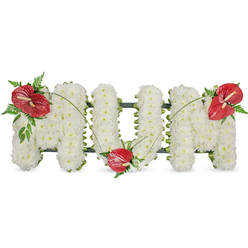 This arrangement captures a carefully made message of remembrance, with the word MUM composed in elegant capital letters from hundreds of compact, pristine white spray chrysanthemums. Each bloom is chosen for fullness and a clean, soft texture; together they form a dense, cloud-like surface that feels gentle to the eye and quiet in tone. A dark green structural base traces the sides of each letter, visible in places where the chrysanthemums part slightly, lending discreet support and a gentle outline. Three vivid red anthuriums-glossy, heart-shaped spathes with creamy yellow spadices-are positioned as thoughtful accents: one on the upper left arc of the first M, another nestled into the base of the U, and the last placed on the upper right of the final M. Clusters of deep green foliage, including delicate fern fronds and broader leaves, cradle each anthurium and add depth, while thin, arching blades of grass sweep softly between the flowers to unify the whole. Bathed in soft natural light, the tribute exudes calm reflection and a measured tenderness suitable for funeral services or graveside remembrance. As a local florist in Clerkenwell, Clerkenwell Flowers often creates pieces like this for families across Exmouth Market, St John Street and nearby Smithfield; the arrangement reads as both a personal farewell and a traditional expression of reverence.