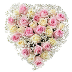 This exquisite heart-shaped floral arrangement brings a touch of Clerkenwell's warmth and heritage into stunning focus. Carefully composed by skilled local florists, it blends approximately 30 to 35 lush pink and creamy white roses, nestled together in expressive, layered bloom. The roses, in shades of tender blush and mellow cream-some dusted with the softest hint of yellow-offer a visual harmony as comforting as a stroll through St John's Square. Wisps of airy white baby's breath weave gently throughout, their petite blossoms adding pure brightness and balance to the gathered roses. This arrangement forms an impeccably symmetrical heart, symbolizing deep love and heartfelt remembrance-every element thoughtfully selected to reflect devotion, peace, and fond memory. Elegantly presented against a bright, immaculate background, the bouquet's gentle hues glow with quiet grace, capturing the essence of loving tribute and gentle farewell. Whether chosen for a moment of joy, an anniversary in the heart of Clerkenwell, or as a meaningful expression of sympathy, this luxurious design carries local spirit and sensitive artistry. Each soft petal and cloud-like accent offers reassurance and comfort, transforming flowers into a living sanctuary of affection and tribute-crafted for those seeking a personal, tender touch from Clerkenwell's expert florists.