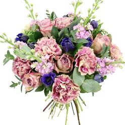 This hand-tied bouquet, shown against a clean white backdrop, looks as if it has just been lifted from a flower stall off Clerkenwell Road and gathered into one luxurious armful of colour. Full-headed garden roses in shades of blush pink, dusty mauve, and deeper antique rose form the central glow of the design, their layered petals unfolding in soft spirals that speak of quiet romance and careful craftsmanship. Nestled among them, generous ruffled carnations bring a cloud-like volume; each bloom shows a gentle shift in tone, from creamy pastel centres to more saturated pink and plum-tinted edges, giving an almost watercolour effect. Deep indigo and royal blue flowers provide a striking counterpoint: some appear as elegant, tulip-shaped buds, while a single open blue anemone with a velvety dark centre sits proudly near the front, drawing the eye. Threaded through this rich palette, stems of pale lilac and soft lavender stock rise delicately, their many small blossoms adding both fragrance and a light, vertical texture that keeps the arrangement feeling airy rather than heavy. Surrounding the blooms, glossy dark green leaves and rounded, silvery eucalyptus create a frame of fresh foliage, suggesting a subtle, cool scent that would mingle beautifully in a Clerkenwell townhouse or office near Farringdon. The stems are gathered neatly at the base, tied in a traditional spiral that hints at expert handling. This bouquet exudes warmth and composure, ideal for marking a birthday, sending comfort, or simply brightening a quiet afternoon in one of Clerkenwell's converted lofts.