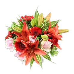 A richly textured, full-bodied bouquet set against a bright white background, arranged with the attentiveness of a local Clerkenwell florist and meant to catch the eye from the doorway. Dominant Asiatic lilies in a burning orange-red-some open and speckled, others in tight buds-create a dramatic vertical sweep; their recurved petals and dark anthers add bold architectural detail. Around them, vivid crimson Gerbera daisies with their dark central disks provide a cheerfully graphic contrast, while delicate blush-pink roses soften the composition with their layered, velvety petals in varying stages of bloom. Small clusters of glossy red Hypericum berries are tucked in as lively, jewel-like accents that introduce a contrasting roundness and tactile shine amid the softer petals. A generous mix of fresh green foliage - broad glossy leaves, slender lily foliage and a few variegated sprigs with pale streaks - fills the spaces, lending volume and a garden-fresh fragrance. The bouquet's rounded silhouette, careful colour gradation from fiery centres to gentler pinks, and an overall sense of abundant, cultivated wildness speak to craftsmanship and thoughtful sourcing. As someone who flowers for bookings around Exmouth Market and St John Street, I imagine this arrangement brightening a Clerkenwell flat, an office reception or arriving as a special birthday or anniversary delivery. This is the kind of bouquet Clerkenwell Flowers would prepare for same-day local delivery: visually arresting, warmly scented, and made to leave a lasting impression.