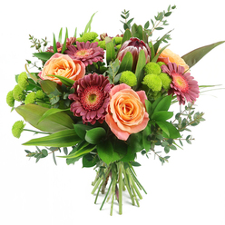 A full, rounded bouquet bursts with warm and lively colours against a clean white background, the kind of stylish mixed arrangement you might see brightening a Clerkenwell studio near St John Street. At its heart, several large roses open in shades of peach, apricot and salmon pink, their velvety petals layered with exquisite precision, moving from paler outer tones to deeper, almost glowing centres that suggest softness and gentle fragrance. Threaded between these roses are deep magenta and burgundy gerbera daisies, their slender petals fanning out from textured, lighter-coloured central disks, creating a cheerful yet refined contrast and a hint of playful movement. Standing proudly among the other blooms, a single King Protea becomes the bouquet's sculptural centrepiece; its bracts of maroon and reddish-brown are tipped with blush pink, forming a spiky, artichoke-like crown that adds an exotic, modern edge perfectly suited to Clerkenwell's design-led interiors and creative studios. Punctuating the arrangement are clusters of lime-green Santini chrysanthemums, tiny, rounded pom-poms packed with petals, injecting fresh, zesty colour that bounces off the warmer peach and burgundy tones. The whole design is cradled within rich greenery: broad, glossy leaves at the base, taller, sword-shaped foliage adding height and energy, and softly arching sprigs of eucalyptus with rounded, silvery-green leaves that lend a cool, aromatic suggestion. The stems gather neatly at the bottom, tied securely to show the bouquet's hand-crafted, professional finish, ready to be placed straight into water. Illuminated by soft, even lighting, each texture and hue is clearly defined, making this bouquet perfect for same-day flower delivery around Clerkenwell, Farringdon and nearby offices, whether for birthdays, new-home celebrations or a thoughtful message of appreciation.