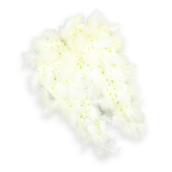An elegant angel-wing funeral arrangement fills the frame, its pure white tones standing out crisply against a matching white background while still retaining depth and texture. Each wing is shaped with great care, built from a dense layer of tiny white flowers, likely spray chrysanthemums or miniature carnations, their petals pressed closely together like a soft floral tapestry. Here and there, the smallest hints of pale green and muted yellow glimmer from the centres, offering natural variation and a sense of living detail. Tracing the outer edge of both wings, long arcs of soft white feathers create a cloud-like border that reinforces the idea of protection and spiritual uplift. The feathers appear light and feathery to the touch, reminiscent of a guardian angel gently enfolding someone in comfort, a feeling many families in Clerkenwell seek when saying goodbye. Soft, even lighting illuminates the floral and feather textures without harsh shadows, while a faint drop shadow beneath the wings subtly lifts the design from the background, giving it a sculptural presence. The overall impression is one of serenity, as though the tribute might rest by a window in a quiet Clerkenwell townhouse or beside a memorial book at a local crematorium. This image captures a traditional funeral tribute designed to express peace, remembrance, and spiritual protection, thoughtfully crafted in the calm, all-white palette often requested for services around Clerkenwell Green, Farringdon, and the surrounding streets where families gather to honour and remember a cherished life.