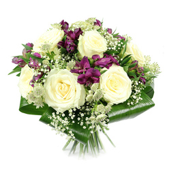 Set against a spotless white backdrop, this hand-tied bouquet appears almost suspended in space, its rounded silhouette perfectly balanced and thoughtfully composed. At its heart, several fully opened creamy white roses form a luminous core, their layered petals unfolding in gentle spirals that suggest softness to the touch and a subtle, comforting fragrance. Around and between them, rich purple and magenta alstroemeria weave through the design, their slender petals flaring outward like tiny trumpets, adding depth and a touch of drama reminiscent of evening light over Clerkenwell's historic streets. The interplay between the cool cream roses and the saturated purple tones creates a sophisticated contrast, ideal for occasions that call for both elegance and emotion. Fine sprays of white baby's breath scatter delicately through the bouquet, like small clouds drifting across the arrangement, adding lightness and an almost ethereal texture. Pale green-white astrantia cluster here and there, their star-shaped bracts and intricate centres giving the bouquet a subtle, garden-grown character, as if freshly gathered from a tucked-away courtyard near St John Street. The whole design is framed by wide, glossy aspidistra leaves, expertly folded and wrapped around the base to form a smooth, dark green collar that grounds the composition and highlights the brightness of the blooms. The neatly cut stems, visible below, underscore the hand-crafted quality and professional floristry involved. This bouquet, as seen in the image, radiates calm sophistication and would feel perfectly at home on a Clerkenwell dining table, in a creative studio off Farringdon Road, or delivered as a graceful gesture of thanks or remembrance.